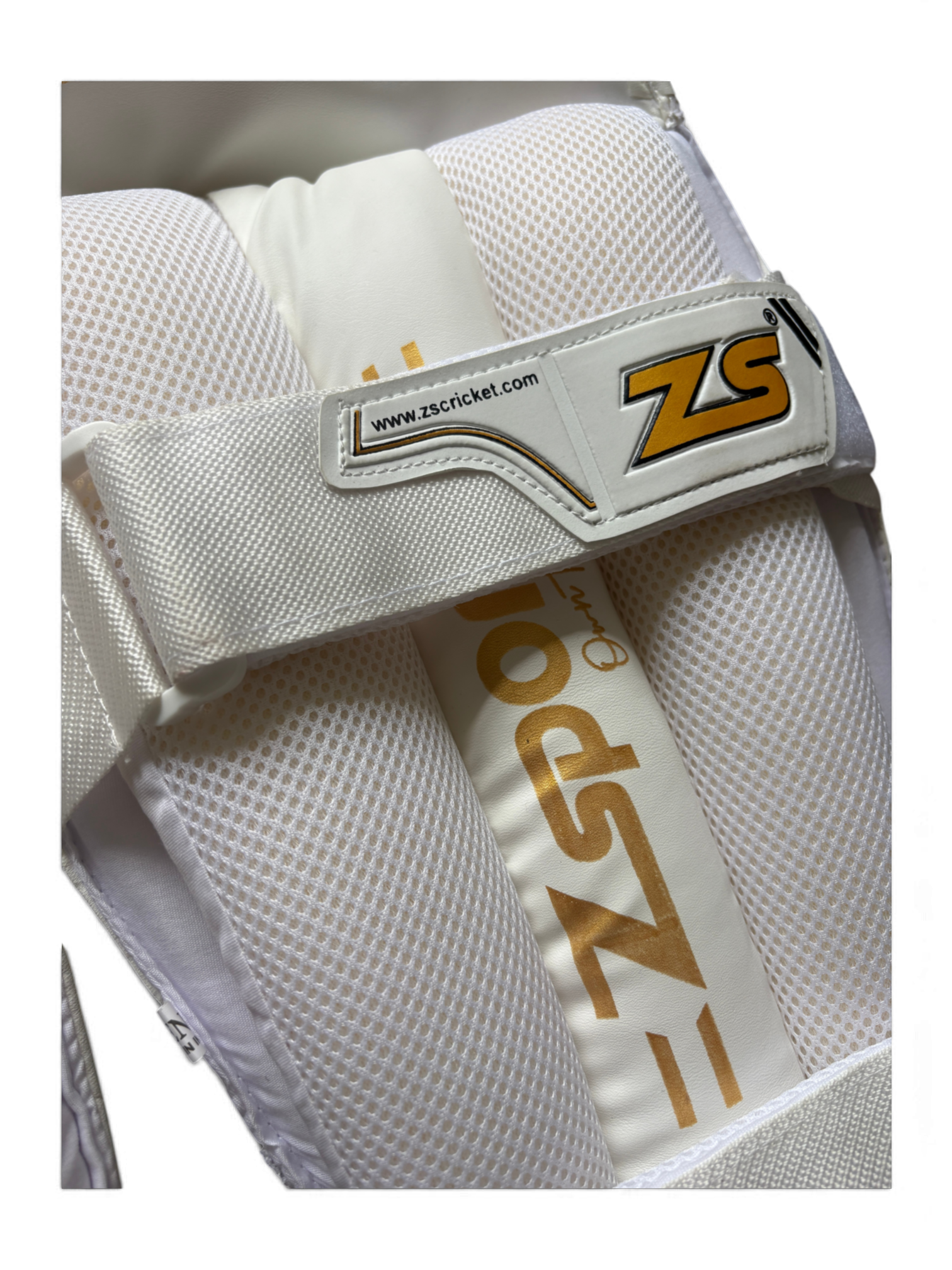 ZSports - Master Class Edition Wicket Keeping Pads