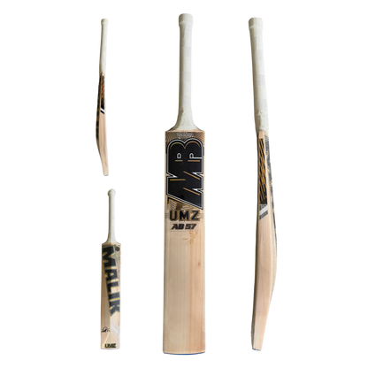 AB57 - SIGNED BAT