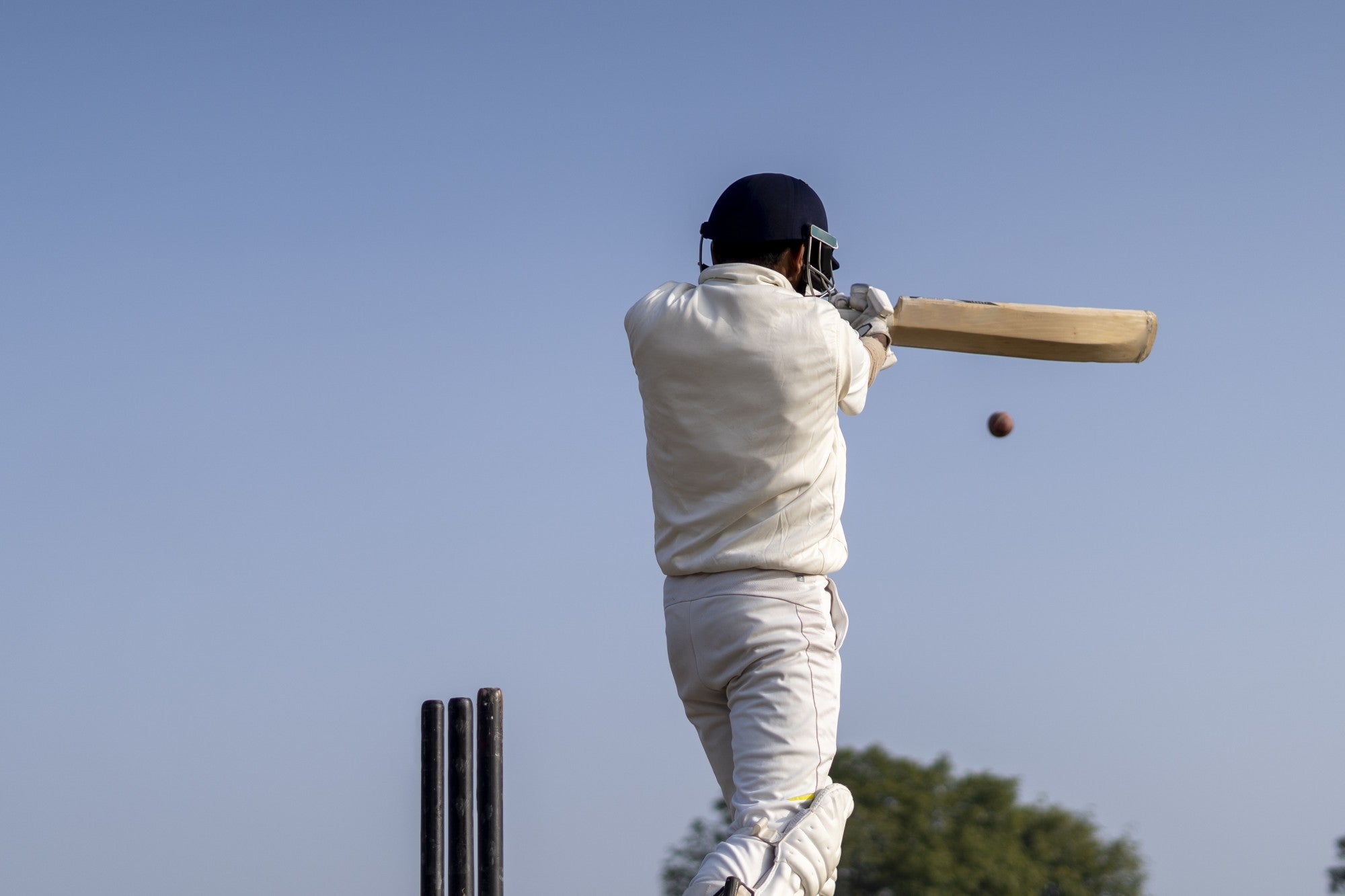 Quality Professional Hand Picked Cricket Bats | BB International Cricket Bats