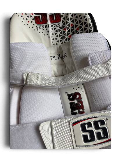 SS TON - Pro Players Edition Batting Pads - Black