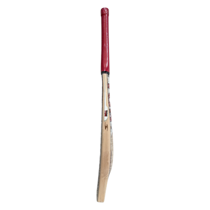 SS TON TON - Gold Cricket Bat | Quality Professional Hand Picked Cricket Bats | BB International Cricket Bats