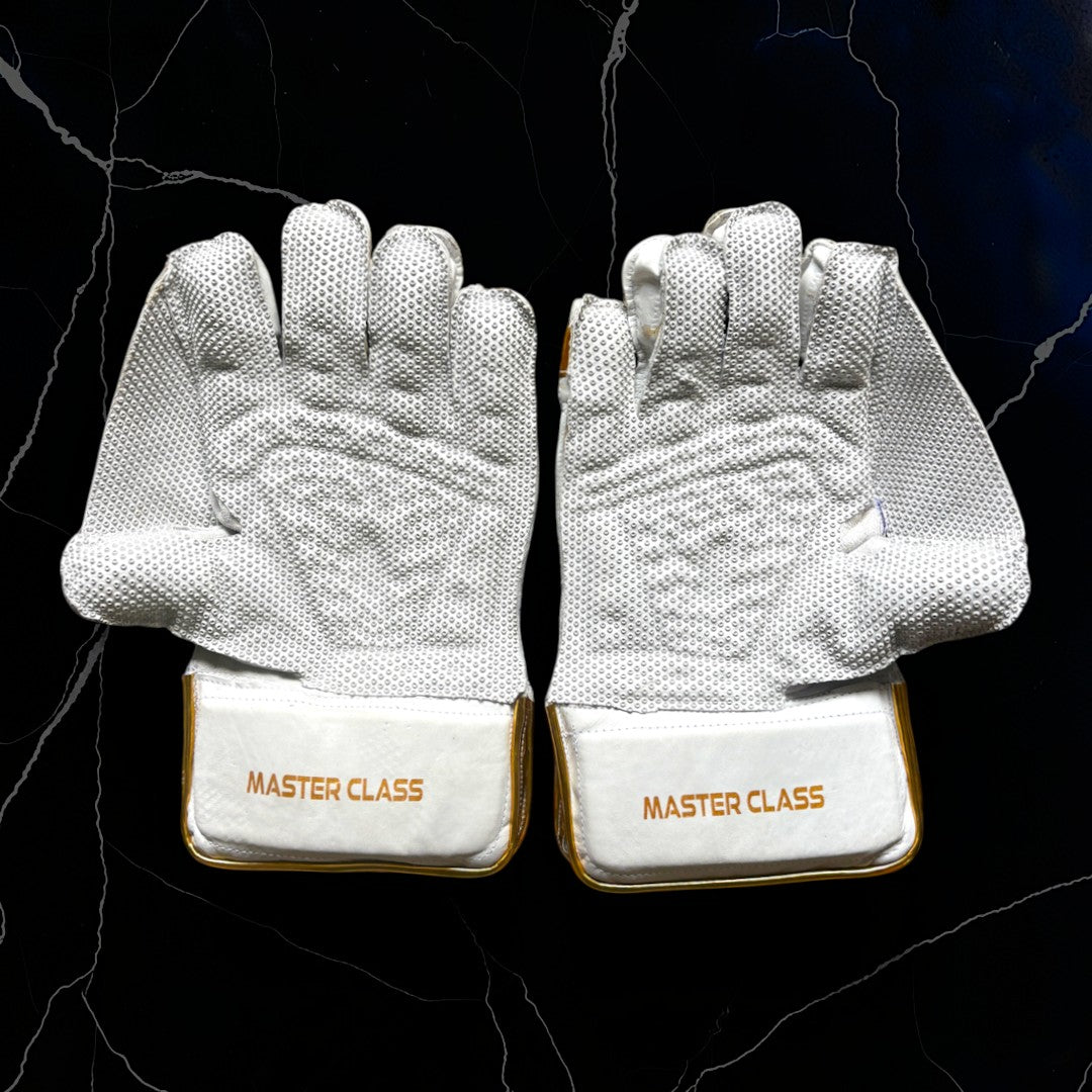 ZSports - Master Class Wicket Keeping Gloves