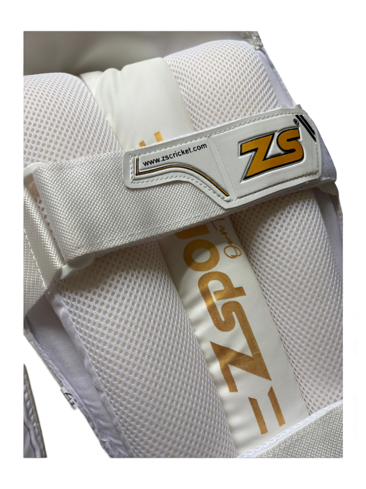 ZSports - Master Class Edition Wicket Keeping Pads